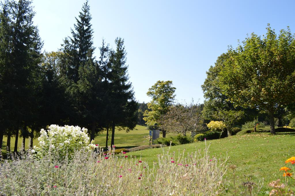 Logis Hotel Le Relais Du Bois Vialotte Льо Шамбон-сюр-Линьон Екстериор снимка