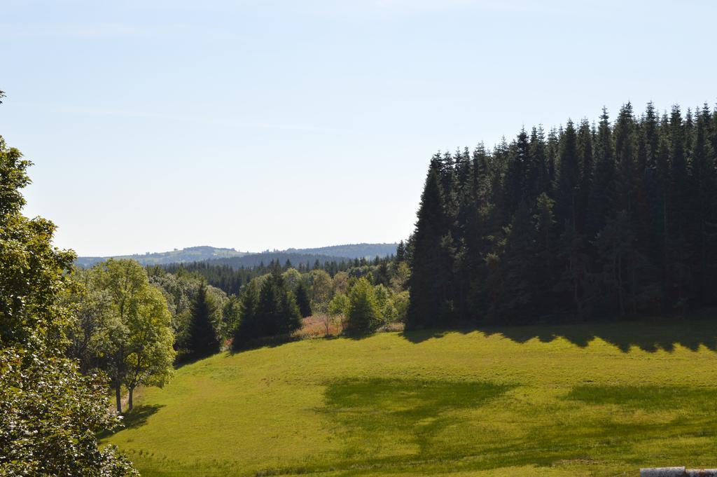 Logis Hotel Le Relais Du Bois Vialotte Льо Шамбон-сюр-Линьон Екстериор снимка