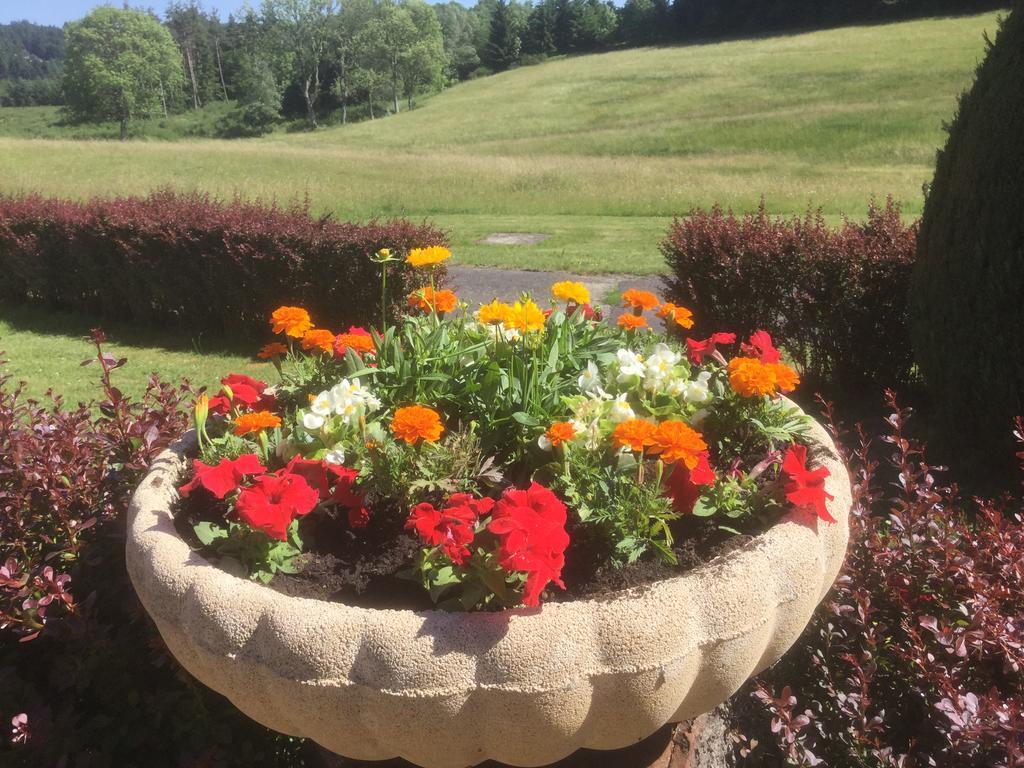 Logis Hotel Le Relais Du Bois Vialotte Льо Шамбон-сюр-Линьон Екстериор снимка